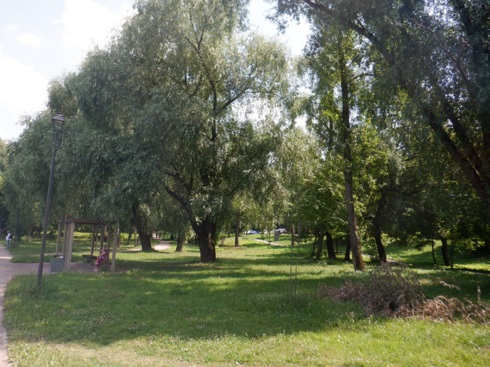 DSCF2206 (700x525, 494Kb)