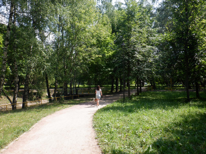 DSCF2220 (700x525, 568Kb)