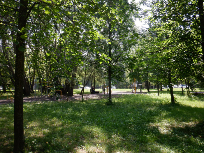 DSCF2223 (700x525, 588Kb)