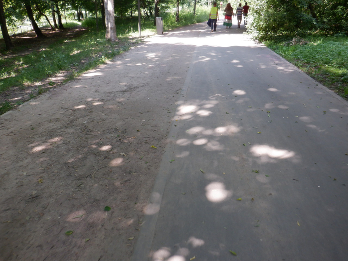DSCF2229 (700x525, 379Kb)