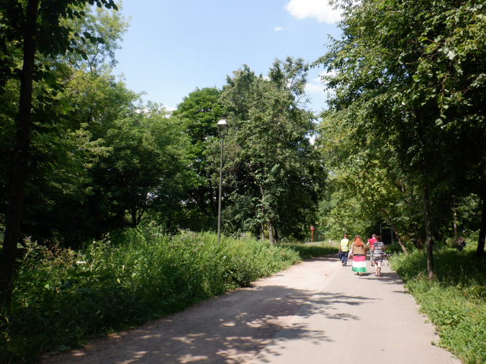 DSCF2233 (700x525, 497Kb)