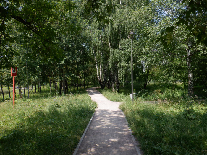 DSCF2241 (700x525, 543Kb)