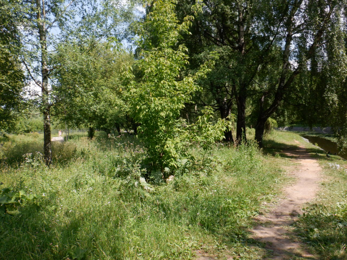 DSCF2242 (700x525, 594Kb)