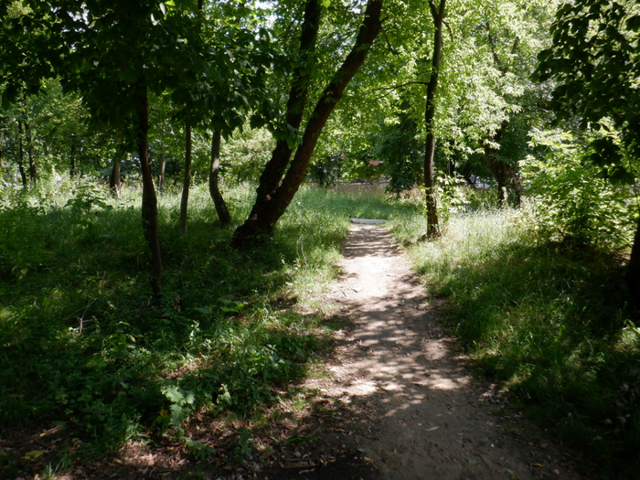 DSCF2249 (700x525, 556Kb)