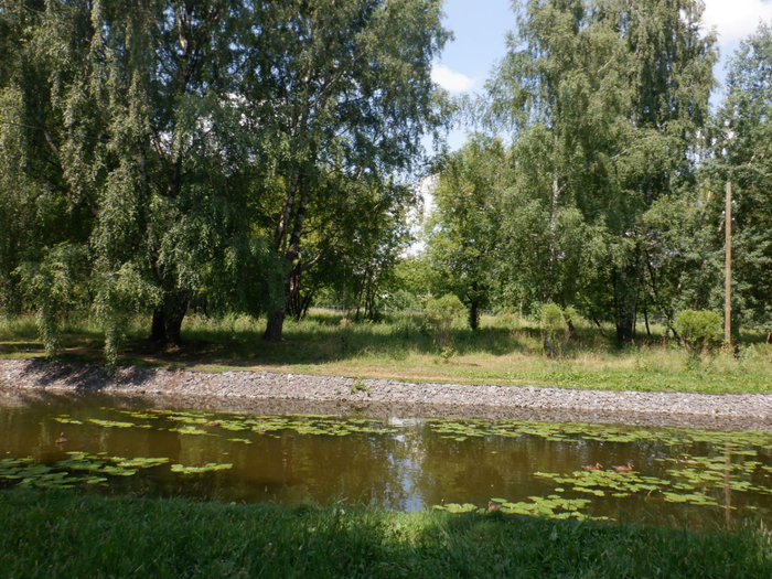 DSCF2251 (700x525, 536Kb)