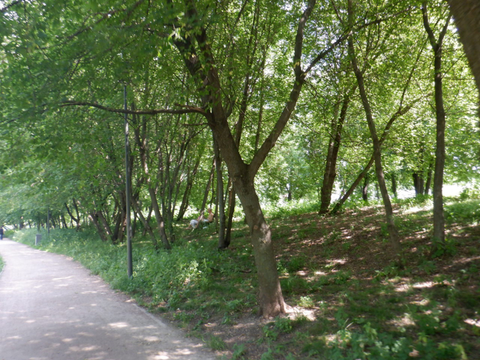 DSCF2253 (700x525, 547Kb)