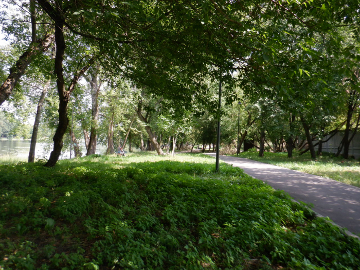 DSCF2271 (700x525, 565Kb)