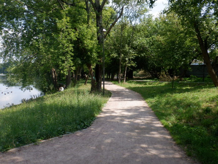DSCF2273 (700x525, 521Kb)