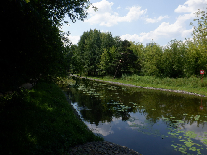 DSCF2275 (700x525, 396Kb)