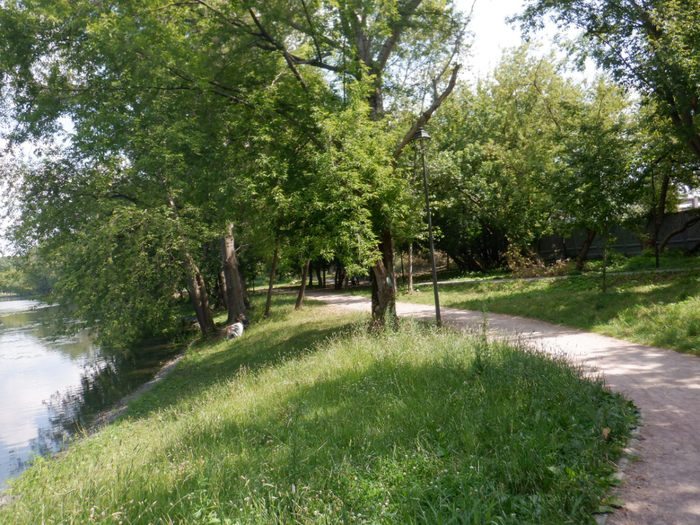 DSCF2281 (700x525, 546Kb)