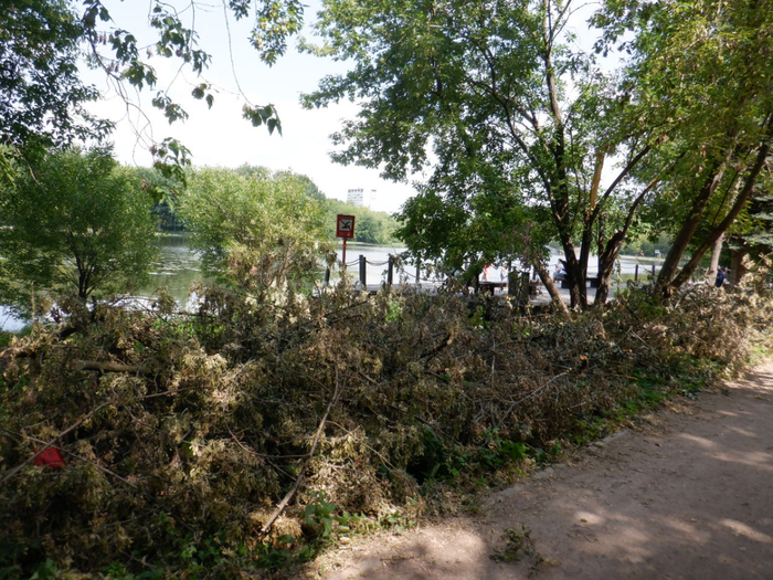 DSCF2283 (700x525, 541Kb)