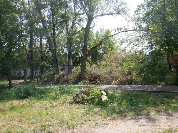 DSCF2285 (700x525, 559Kb)