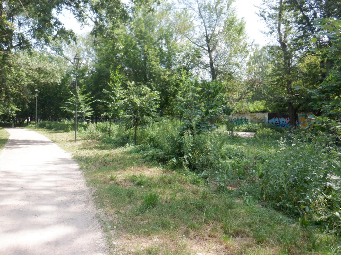 DSCF2293 (700x525, 534Kb)