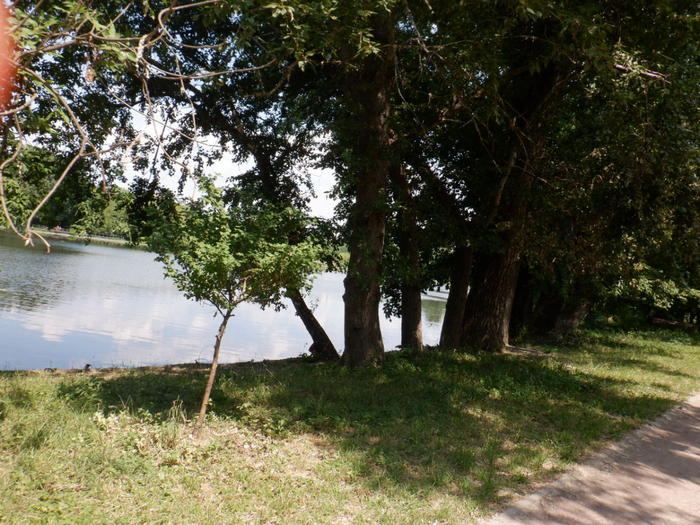 DSCF2295 (700x525, 546Kb)