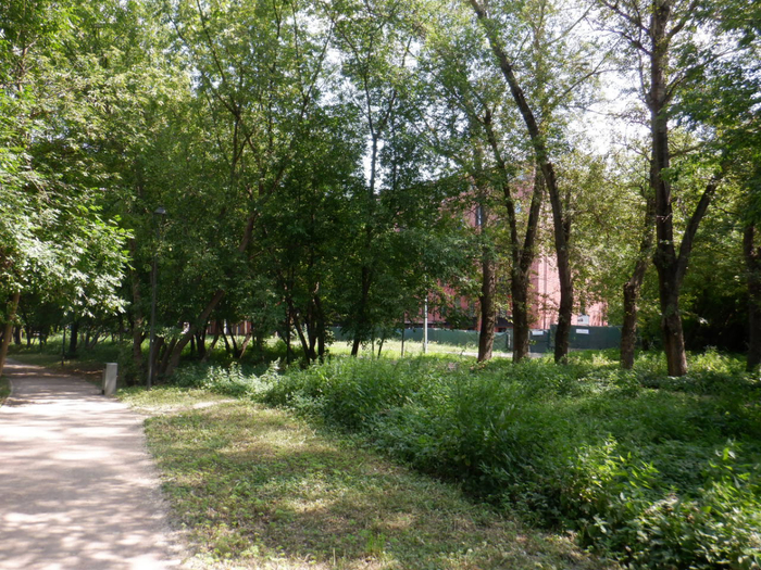 DSCF2297 (700x525, 574Kb)