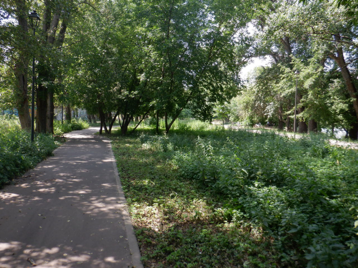 DSCF2299 (700x525, 539Kb)