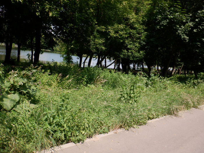 DSCF2304 (700x525, 532Kb)