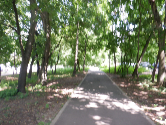 DSCF2306 (700x525, 456Kb)