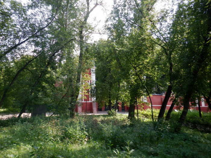 DSCF2333 (700x525, 553Kb)