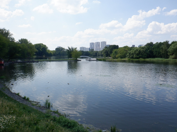 DSCF2346 (700x525, 341Kb)