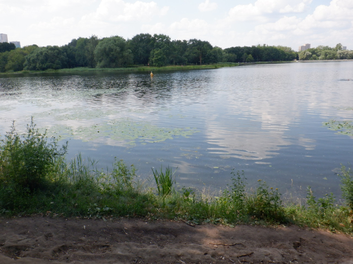 DSCF2354 (700x525, 396Kb)
