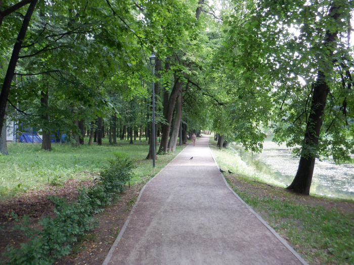 DSCF2360 (700x525, 527Kb)