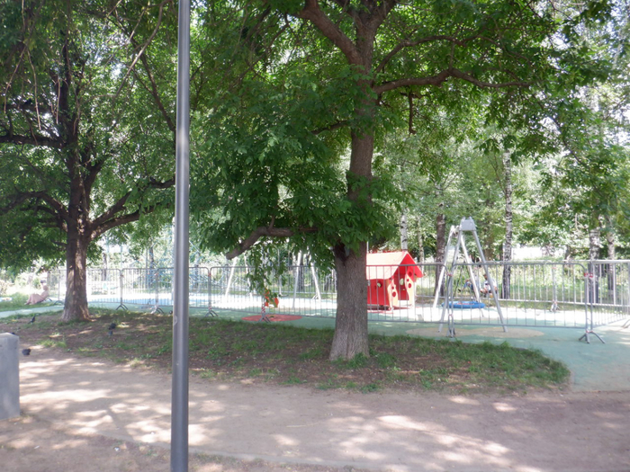 DSCF2393 (700x525, 524Kb)