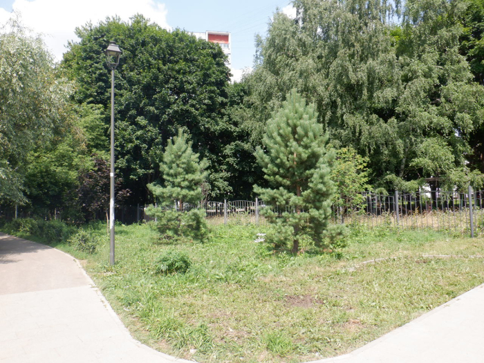 DSCF2400 (700x525, 510Kb)