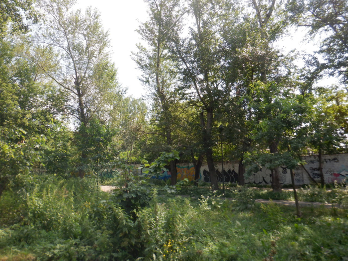 DSCF2294 (700x525, 532Kb)