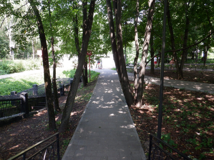 DSCF2432 (700x525, 511Kb)