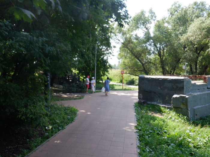 DSCF2439 (700x525, 437Kb)