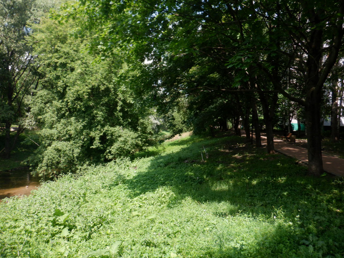 DSCF2441 (700x525, 557Kb)
