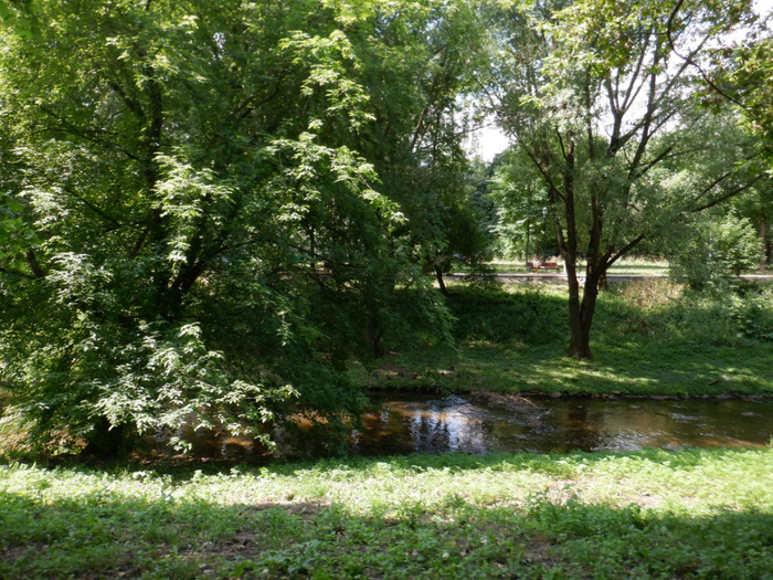 DSCF2445 (700x525, 575Kb)