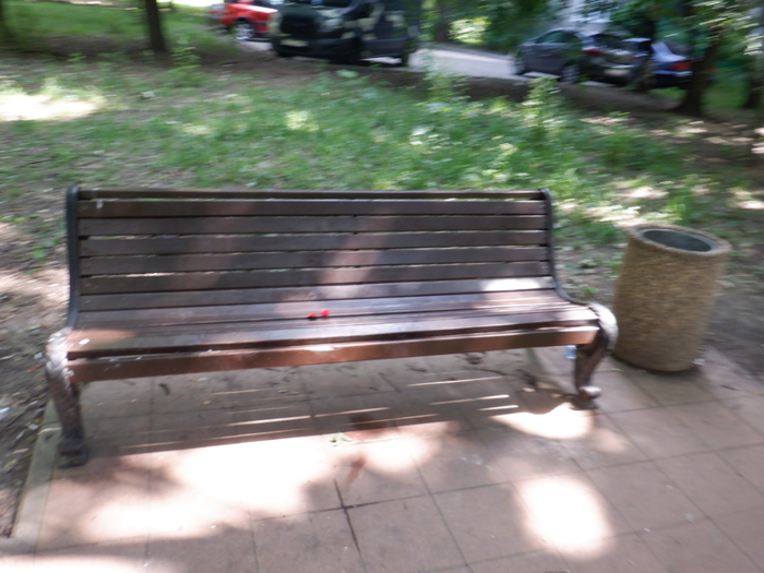 DSCF2449 (700x525, 356Kb)