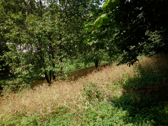 DSCF2453 (700x525, 596Kb)