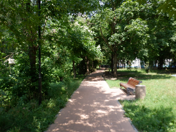 DSCF2457 (700x525, 509Kb)
