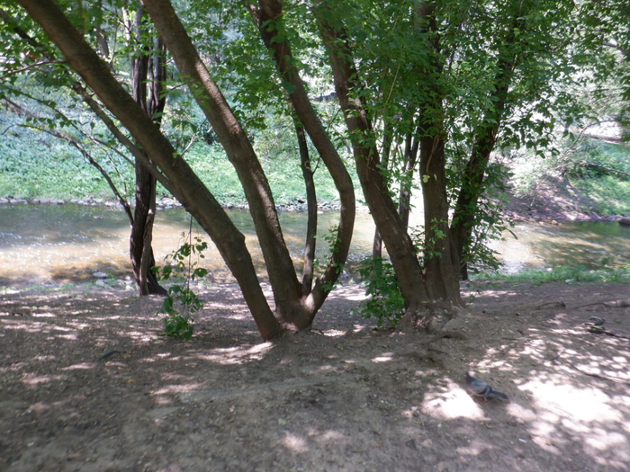 DSCF2459 (700x525, 517Kb)