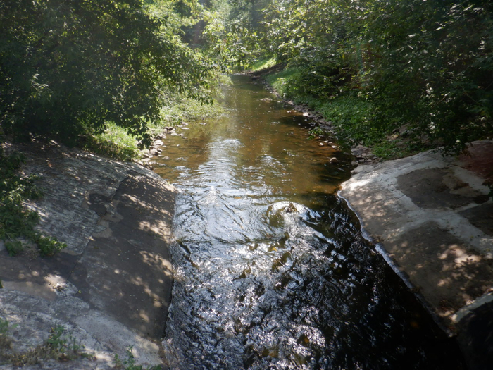 DSCF2466 (700x525, 498Kb)