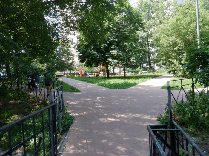 DSCF2471 (700x525, 525Kb)