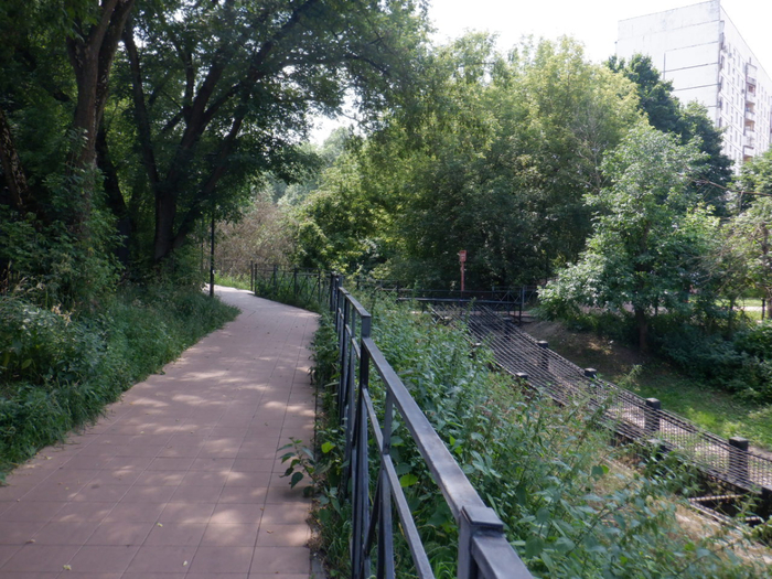 DSCF2480 (700x525, 488Kb)