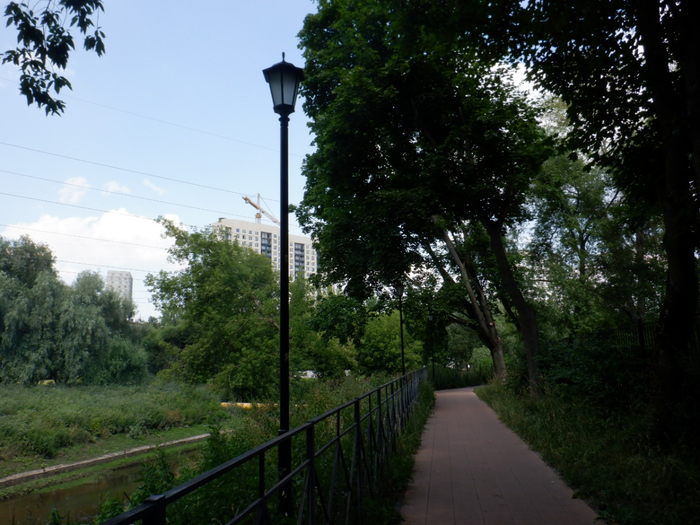 DSCF2482 (700x525, 418Kb)
