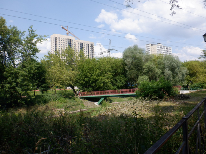 DSCF2490 (700x525, 453Kb)