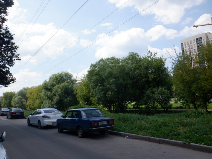DSCF2511 (700x525, 377Kb)