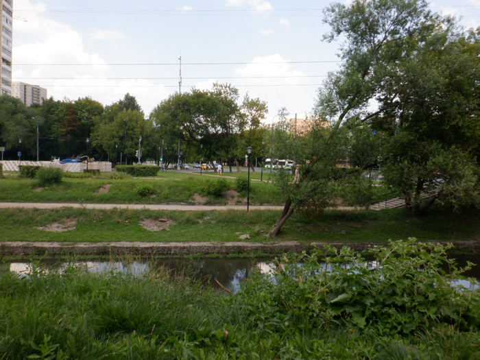 DSCF2513 (700x525, 449Kb)