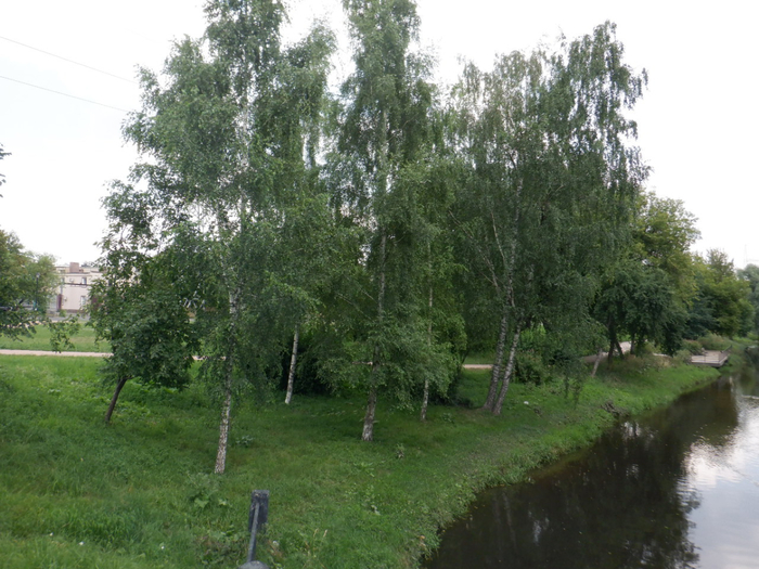 DSCF2522 (700x525, 404Kb)