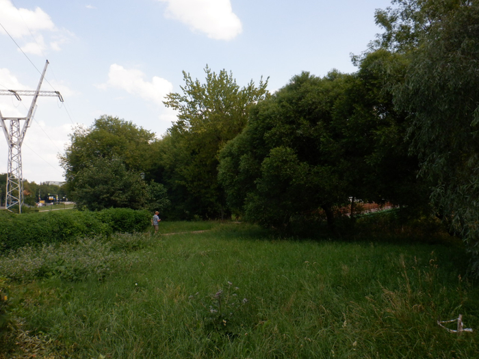 DSCF2688 (700x525, 410Kb)