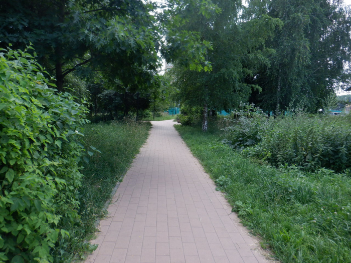 DSCF2690 (700x525, 482Kb)