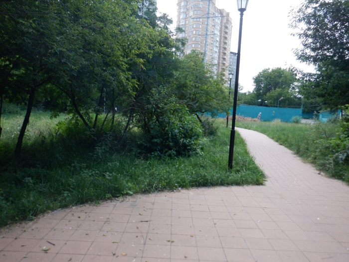 DSCF2692 (700x525, 418Kb)