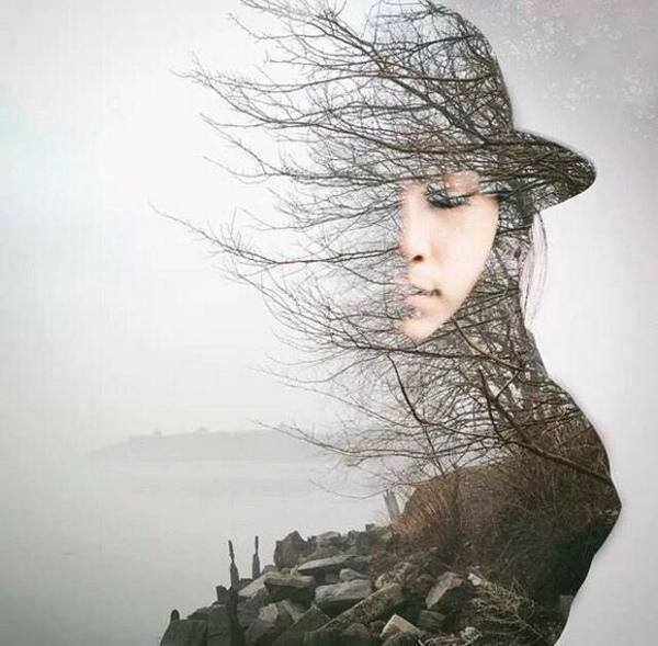граф ноя (600x589, 136Kb)