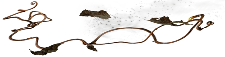 пост (451x116, 45Kb)